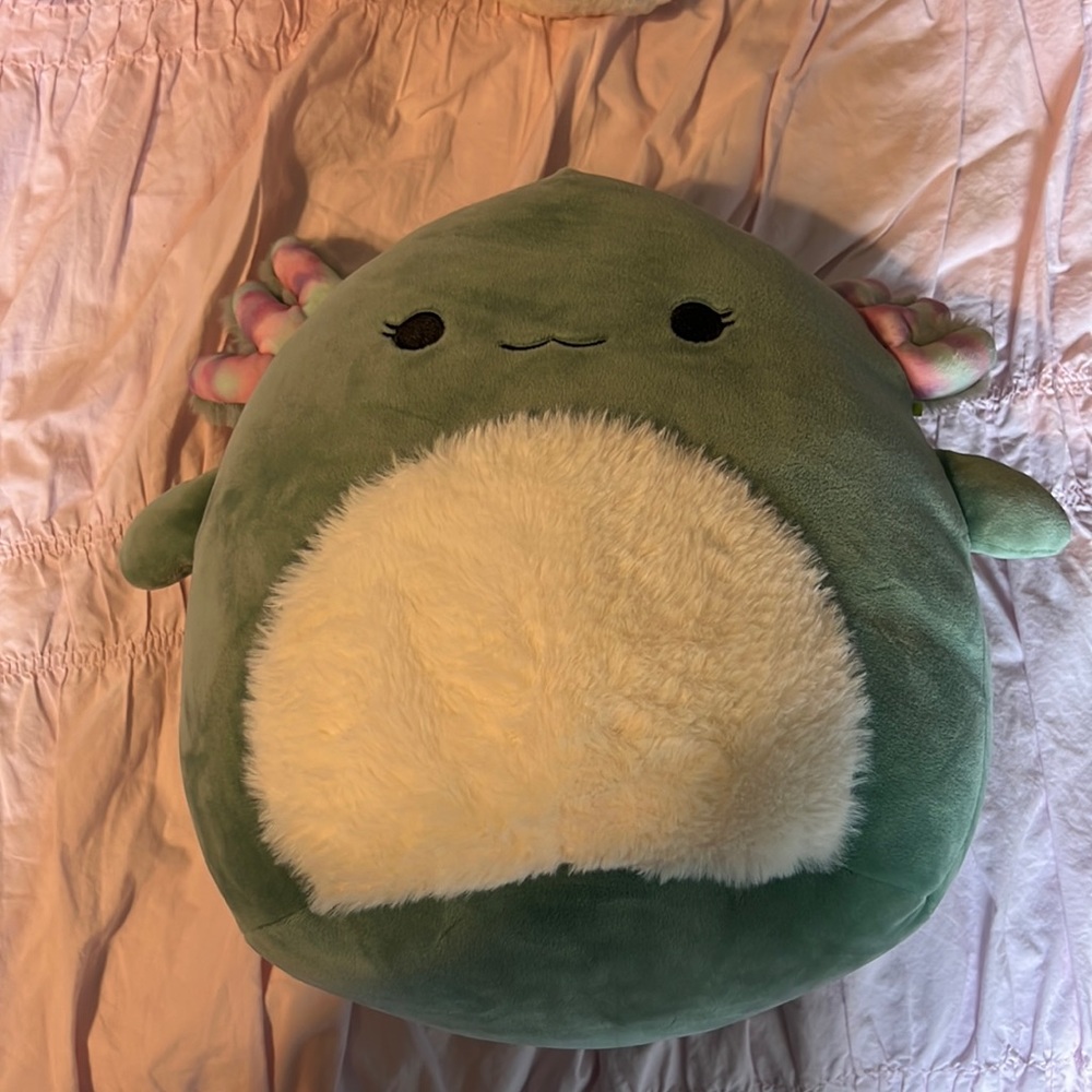 Chasmen squishmellow